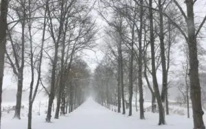 Huvudallén med snö