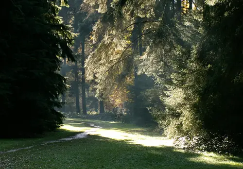 Arboretum of Tervuren
