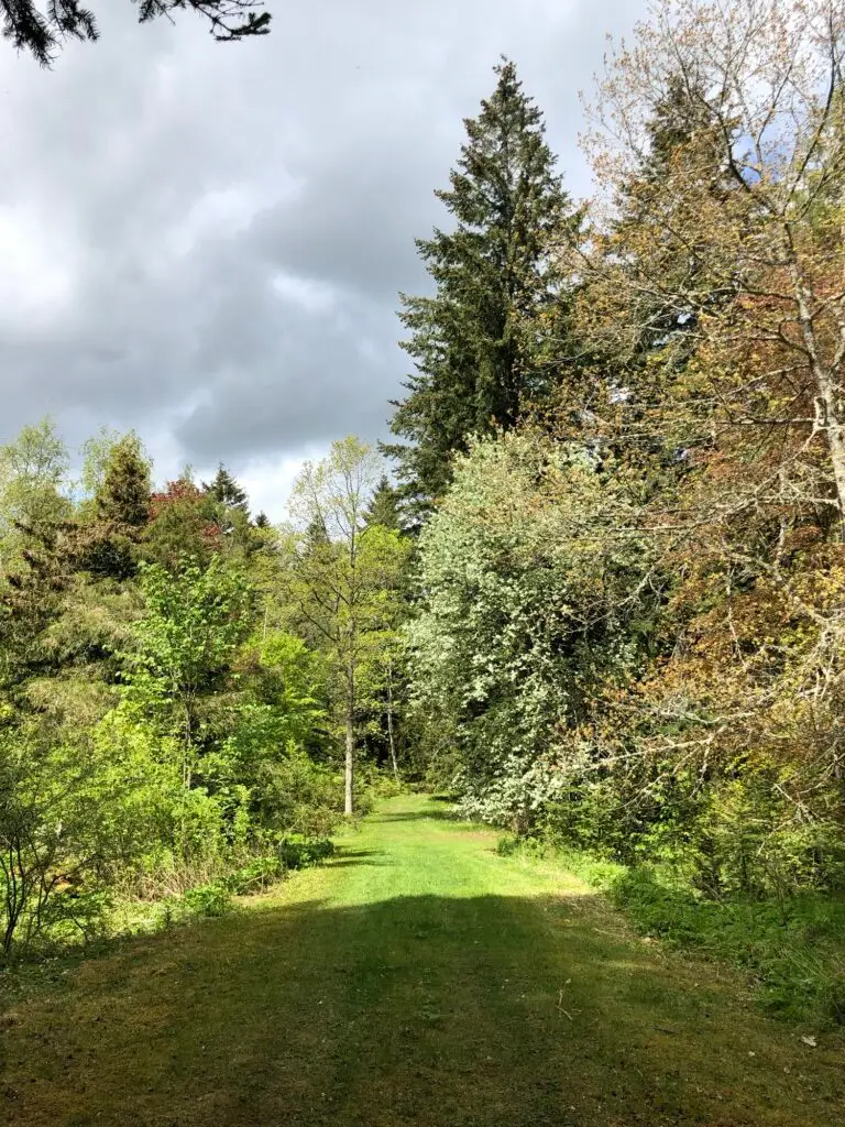 Setonkorsningen i arboretet